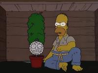 Click to watch 'Secrets of a Successful...' (popup) The Simpsons